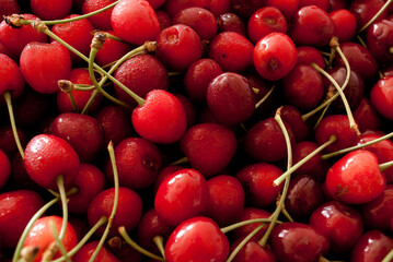 bunch of fresh cherries