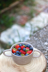 Bowl with blueberries and strawberries, served in a garden. Selective focus.