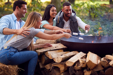 Group Of Friends Camping Sitting By Fire In Fire Bowl Toasting Marshmallows Together