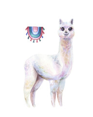 Watercolor hand painted alpaca with traditional accessories. Cute illustration for design of children’s goods and decor: textile, wallpaper, posters, dishes, stationary, wrapping paper.