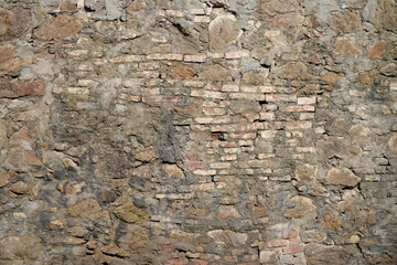 Moldy wall overgrown with moss photographed in daylight