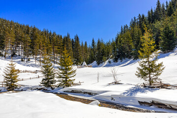 Pastoral winter view in West Rhodope mountains