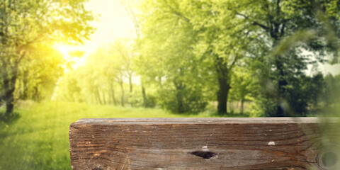 Wooden desk of free space and spring ladnscape of garden 