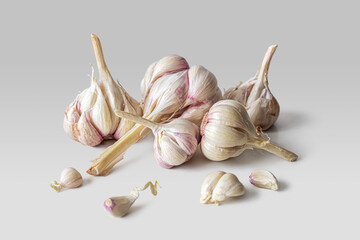 Few heads and cloves of garlic, on a light background
