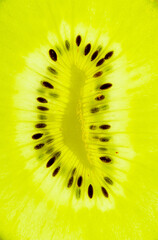 Lighted slice of Kiwi fruit. Cross sections of back projected kiwi isolated over white back lit. Abstract full frame background.