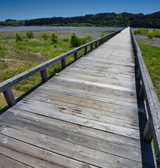 世界一の木造歩道橋　蓬莱橋
