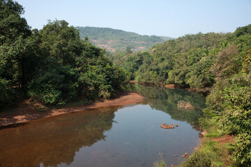 Fototapeta na wymiar Kotjai river surrounded by dense forest, Dapoli, Konkan, Maharashtra, India