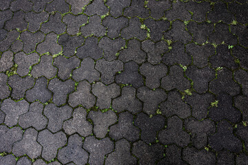 texture of dark paving slabs with grass in the crevices