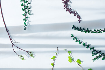 Different twigs with green, bright green and red leaves, placed on white background with shadows. Floral frame with place for banner.