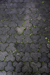 texture of dark paving slabs with grass in the cracks. Vertical photo