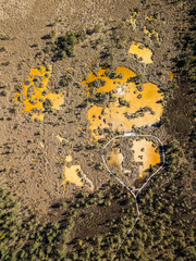 Aerial view of colorful sulfur ponds in swamp and trail, Kemeri, Latvia.