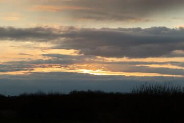 A yellow, blue sunset with thick clouds in the sky before a storm with a dark meadow and tree horizon on a spring evening. The sun is not visible