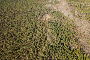 Aerial view of forest and swamp. 
