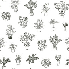 Fototapeta na wymiar home plants hand drawn vector illustrations seamless pattern