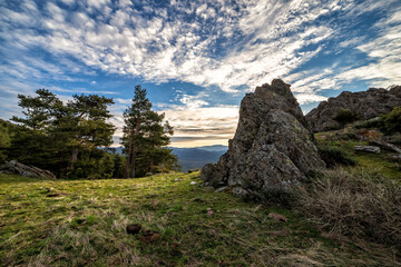 pinos y rocas de pizarra en la Sierra Norte. Madrid. España. Europa