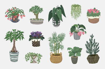 home plants hand drawn vector illustrations set