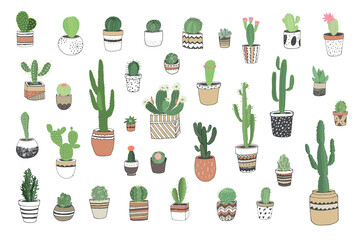 Cactus plants vector hand drawn illustrations set