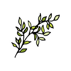 Vector tree branch with green leaves. Twig Hand Drawn Doodle Style Design Element Posters, Postcards Baner