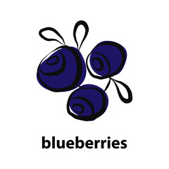 Blueberries. Healthy food. Fresh blueberry icon on white background flat vector illustration for logo, website, app, user interface, drawn with a brush