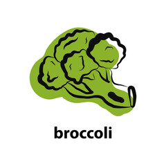 vector icon of green broccoli. Modern brush illustration. icon on white background flat illustration for logo, website, app, user interface