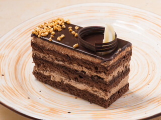 slice of chocolate sponge cake decorated with nuts