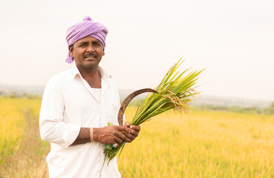 Indian Farmer Images – Browse 34,439 Stock Photos, Vectors, and Video |  Adobe Stock
