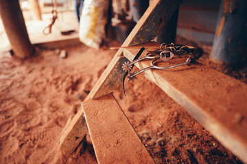 rusty iron riding spurs