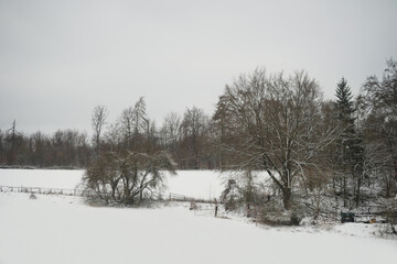 winter snow photography in a field in bavaria