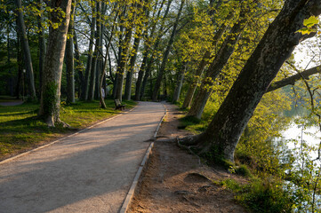 Paysage du Parc de la Tête d'Or à Lyon en france au printemps