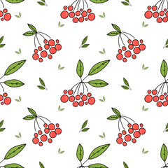 Seamless pattern of ash berries and cranberries in digital style in pastel colors with pencil texture. Used red and green colors. Cute and pretty design for wrapping paper, baby clothes and background