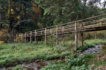 a wooden bridge over a small river in an autumn forest with yellow, red, green trees