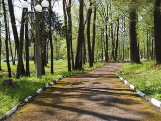 path in the park