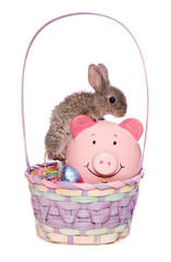 saving money on easter eggs studio cutout