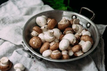 Raw Champignons and Royal Champignons in a plate