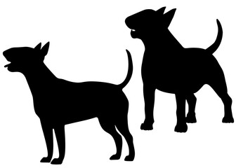 Bull terrier dog in the set. Vector image. - obrazy, fototapety, plakaty