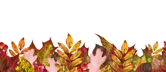 Autumn leaf seamless border. Watercolor illustration. Red, orange fallen leaves endless ornament. Thanksgiving natural decoration. Bright fall foliage elements seamless border. On white background