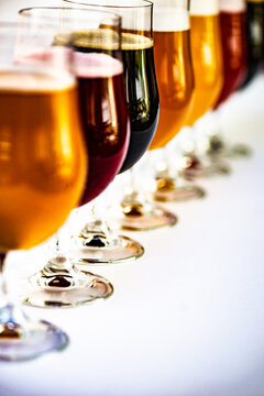 A row of assorted craft beers lined up on a table