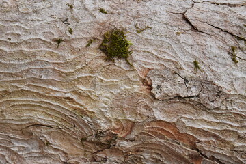 Hochplatte durch die Südwand