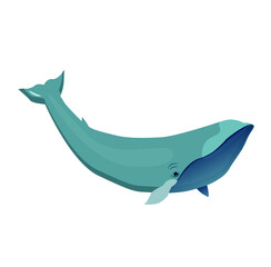whale on white background