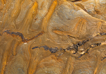 Extreme closeup of a colourful shale rock with ironstone banding forming an intricate natural pattern.