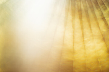Abstract blur image bright of the yellow or gold color bokeh for background usage.