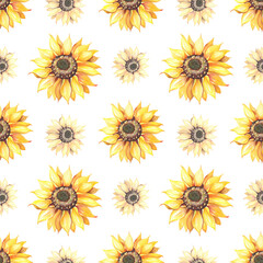 Sunflower seamless pattern.Realistic illustration with big yellow flowers on white background.