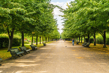 July 2020. London. The Avenue in Regents park in London, England, UK, Europe