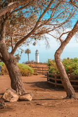 Point Vicente Lighthouse photographed between two trees on the coast in Los Angeles