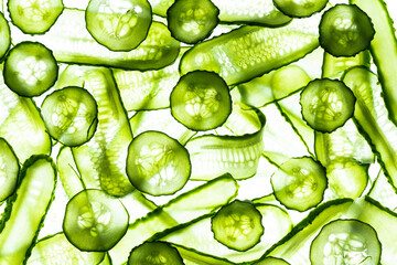 Fresh Green Cucumber Slices. White Background. Food Abstract Pattern