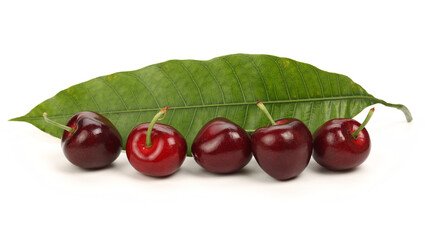 cherries isolated on white background