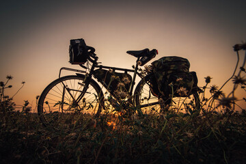 Obraz premium Touring bikes parked in a blooming flower field during sunset in Pattaya, Naklua, Thailand.