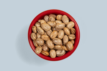 Dry pinto bean seed in red plastic bowl