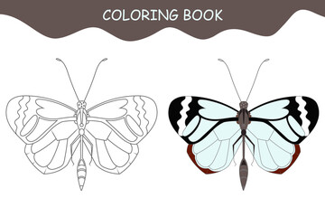 Coloring book butterfly. Butterfly Greta Oto