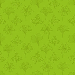 Leaves of domestic plants Ginkgo, Ivy, oxalis seamless green background